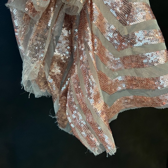 Gorgeous lightly worn gown with bias cut overlay. - Picture 5 of 8